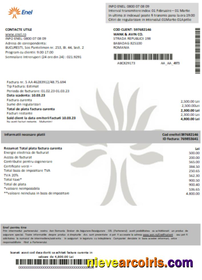 Enel electricity proof of address utility business bill